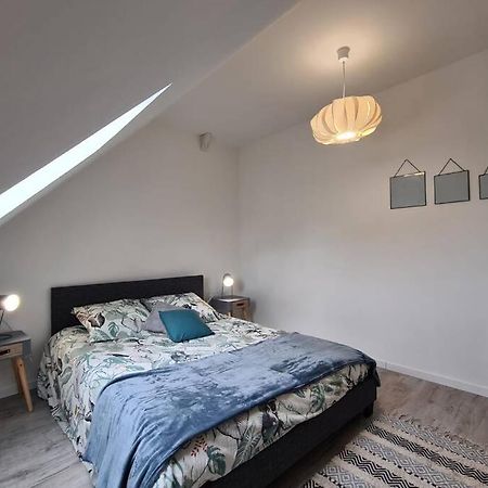 Centre Ville 3 Pieces Envoutant Sous Combles 40M² 茹瓦尼 外观 照片